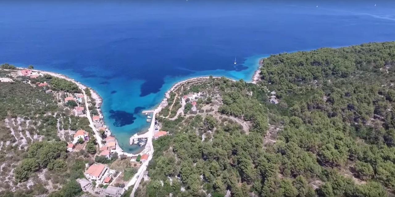 Vila Vita Donje Selo na Solti Ngoại thất bức ảnh